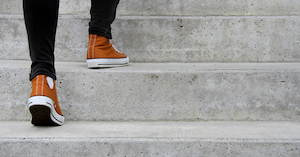 Next Steps