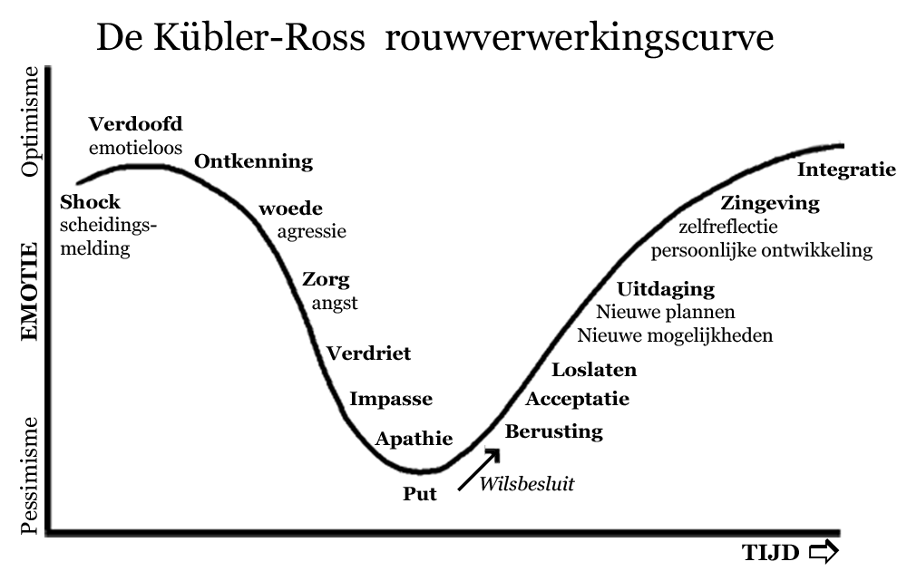 Fases van het rouwproces